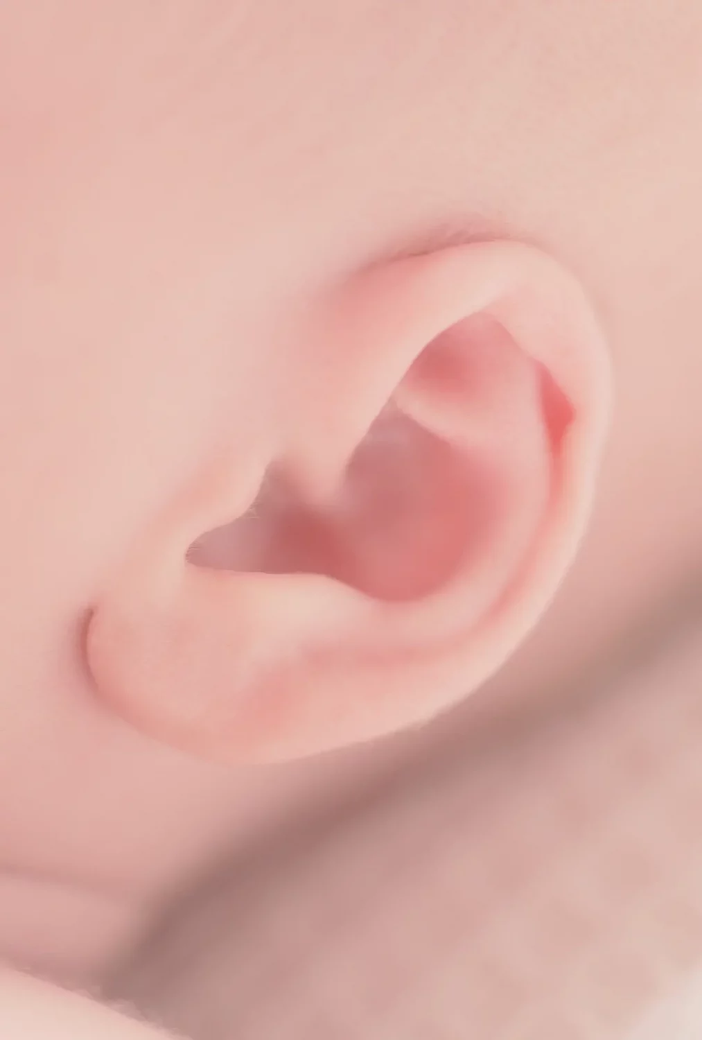 foto af nyfødt baby øre