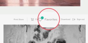 Image 04 07 2023 At 09 35 300x149